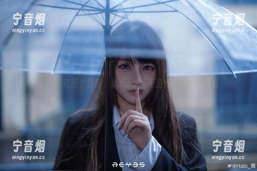 Halo_酱 油亮终究是个目标,Halo_酱无圣光合集打怪升级
