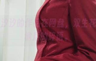 丽柜 – 汐汐的作品在网盘，双生花藏在童檐后的碎语。