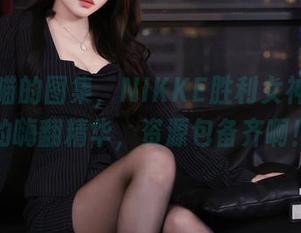 无影喵喵的图集，NIKKE胜利女神布兰儿的嗨翻精华，资源包备齐啊！