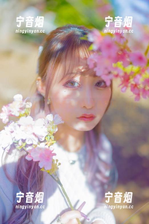 月城委员会 敢不敢掏出月城委员会的黑色写真,其实没那么可怕