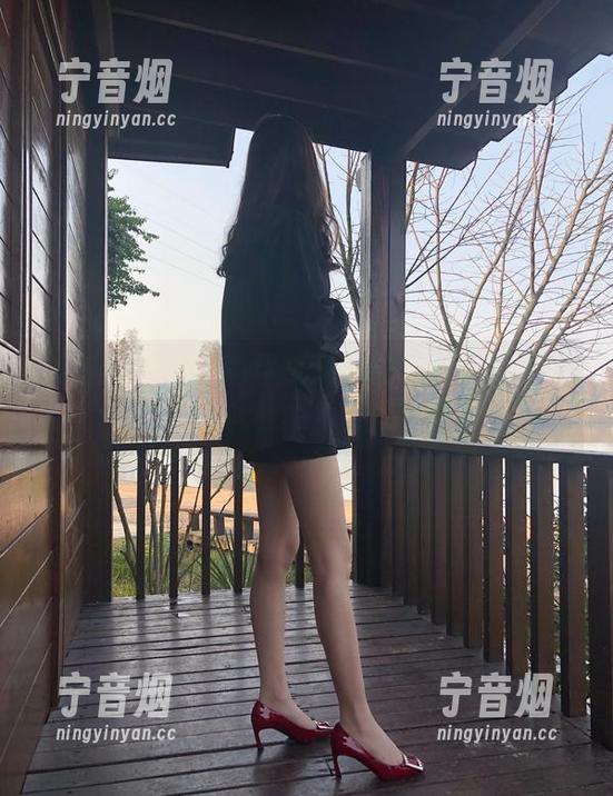 梦里一只喵 微密圈 - 喵,高清跳入你的屏幕:梦里一只喵的会员作品集观察日记
