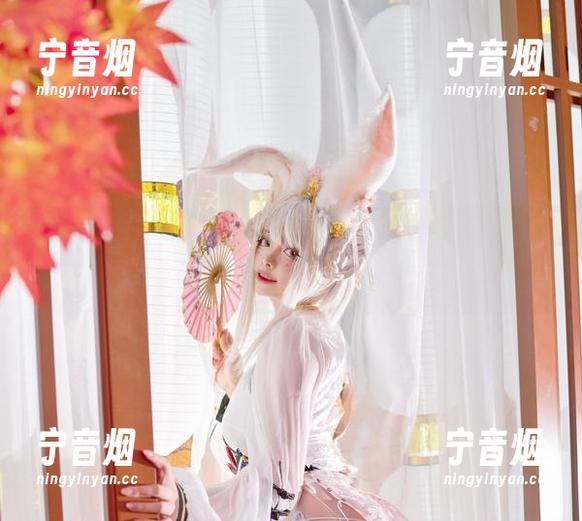 阿寨寨ninja 阿寨寨ninja的女仆集合体:点开网盘,小心“入坑”